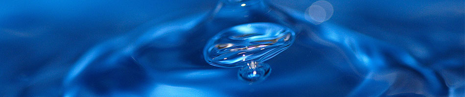 Wasser ist Leben